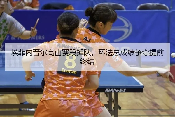 ai-fei-nei-pu-er-gao-shan-sai-duan-diao-dui-huan-fa-zong-cheng-ji-zheng-duo-ti-qian-zhong-jie-3-499.jpg