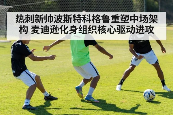 热刺新帅波斯特科格鲁重塑中场架构 麦迪逊化身组织核心驱动进攻