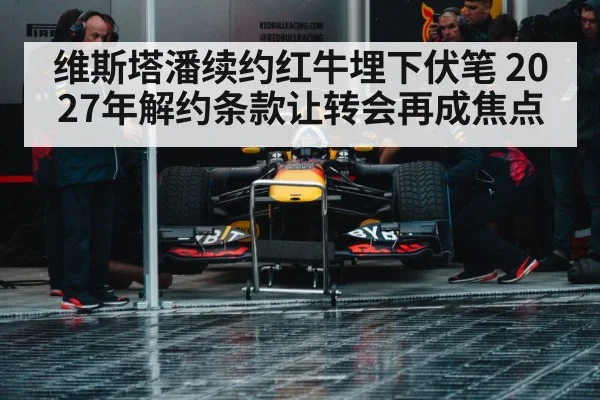 Red Bull racing team